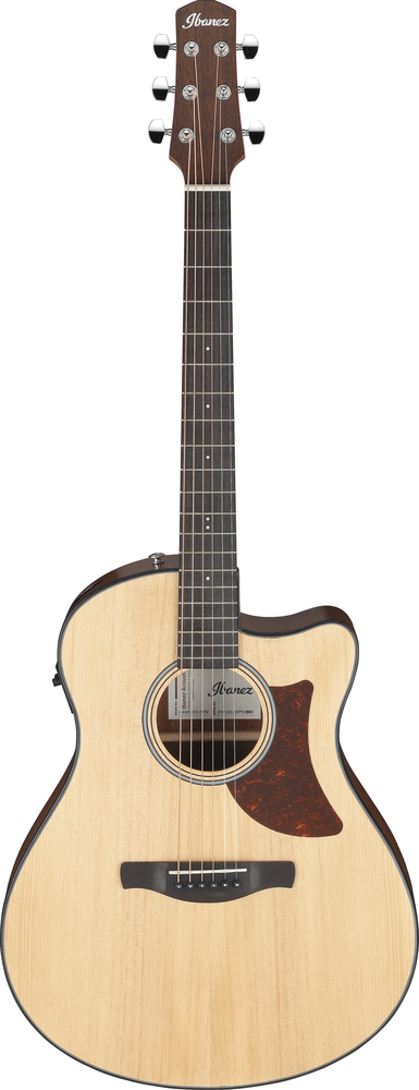 Ibanez AAM50CE OPN