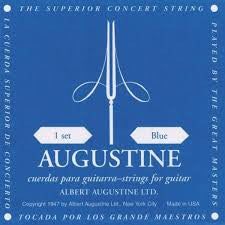 Augustine Blue Nylon