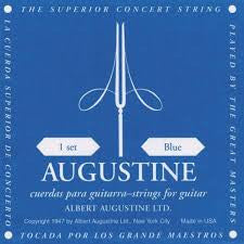 Augustine Blue Nylon