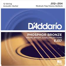 D Addario EJ37 12-54 12 String
