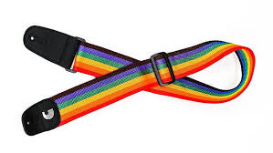 Planet Waves Polypro Strap Rainbow