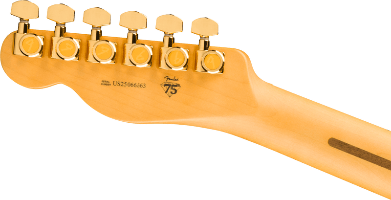 Fender 75th Ann Am Pro Tele 2CSB