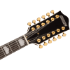Gretsch G5422G-12 Electromatic® Classic Hollow Body Double-Cut 12-String with Gold Hardware, Laurel Fingerboard, Walnut Stain