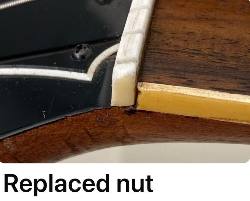 Vintage Aria SL500D-SG c.1980