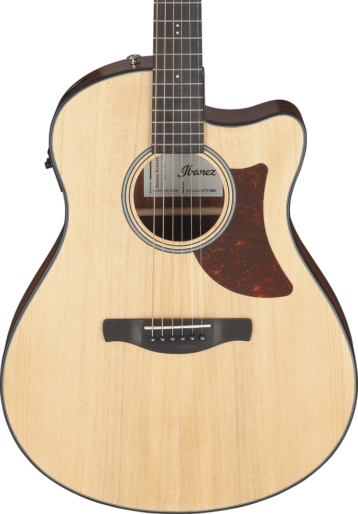 Ibanez AAM50CE OPN