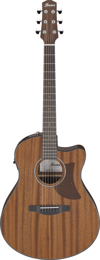 Ibanez AAM54CE OPN
