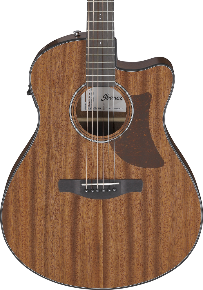 Ibanez AAM54CE OPN