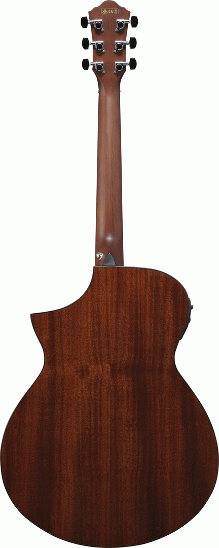 Ibanez AEWC11 DVS