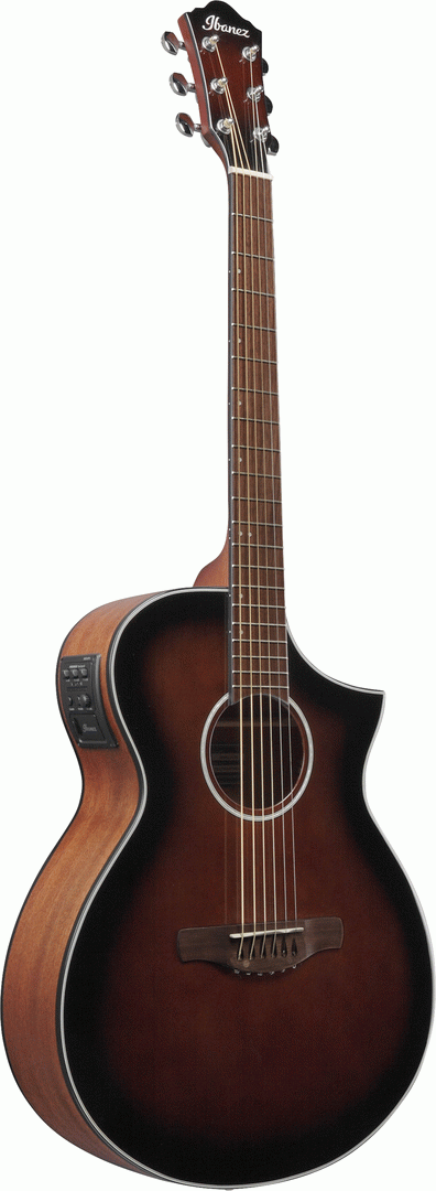 Ibanez AEWC11 DVS