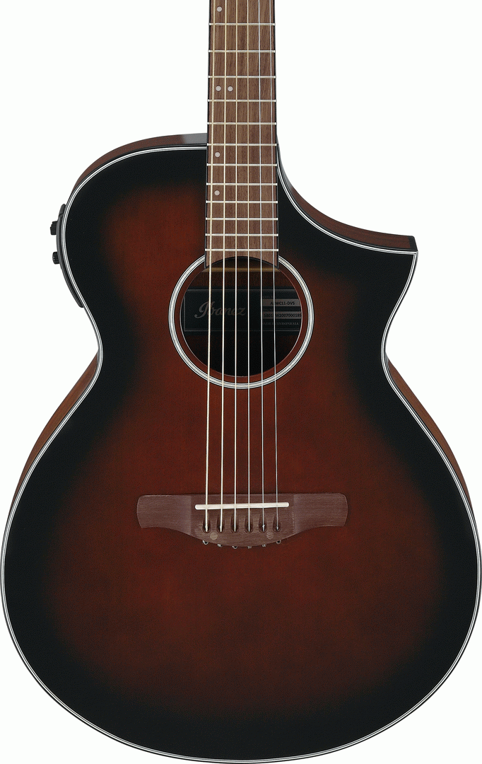 Ibanez AEWC11 DVS
