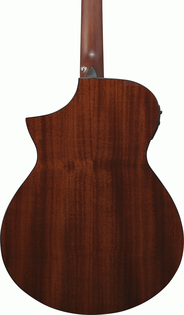 Ibanez AEWC11 DVS
