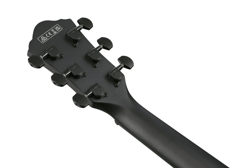 IBANEZ AEWC621 BOT ACOUSTIC GUITAR