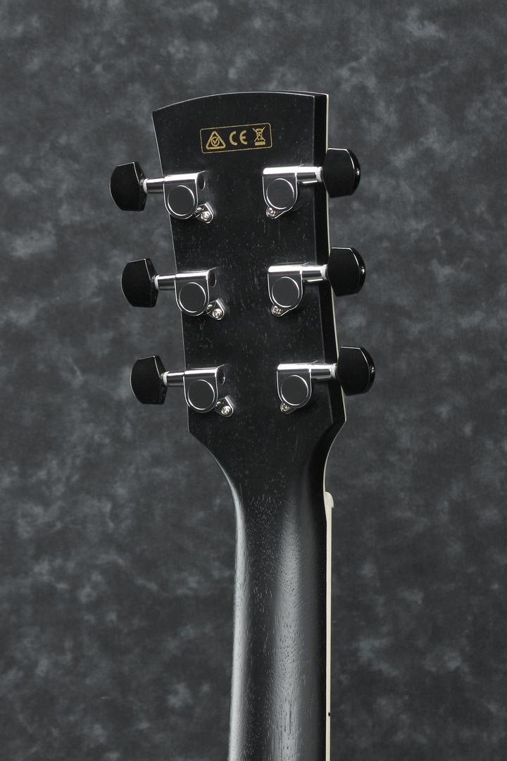 Ibanez AW84CE WK Artwood