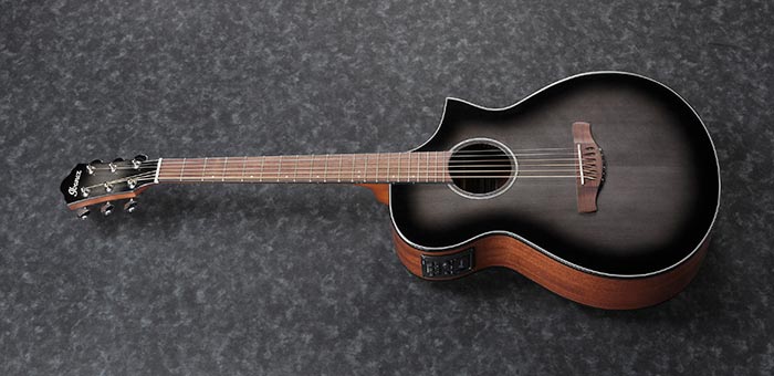 Ibanez AEWC11 TCB