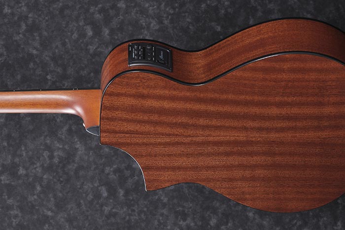 Ibanez AEWC11 TCB