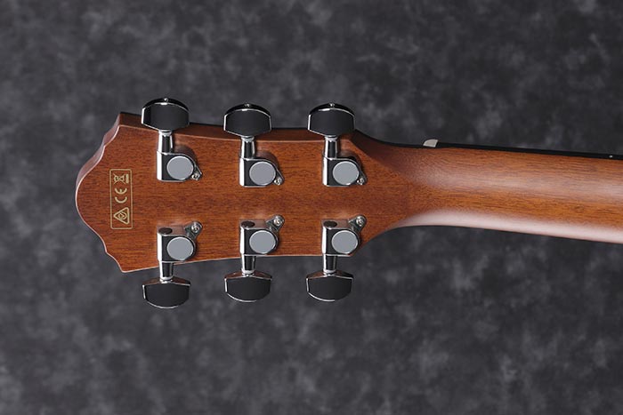 Ibanez AEWC11 TCB