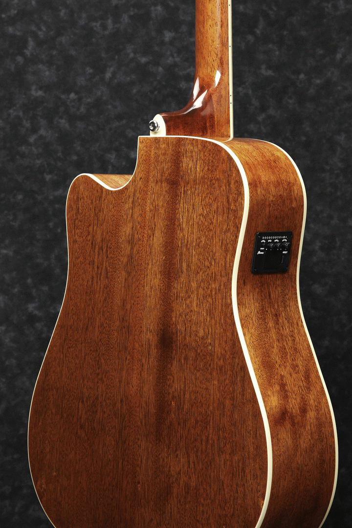 Ibanez PF1512ECE NT 12 String