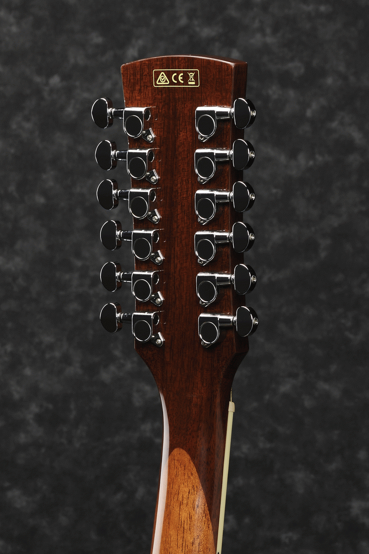 Ibanez PF1512ECE NT 12 String