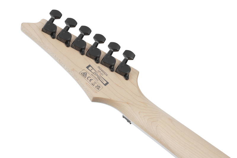 Ibanez RG460DX ROM