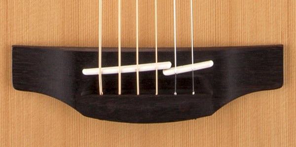 Takamine G20 AC/EL Guitar