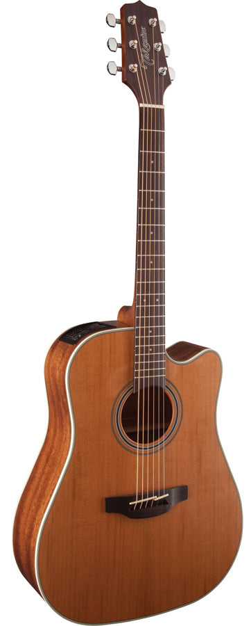 Takamine G20 AC/EL Guitar