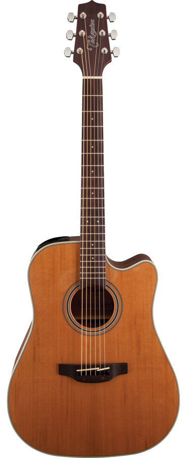 Takamine G20 AC/EL Guitar