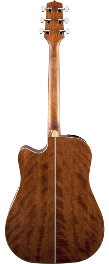 Takamine G20 AC/EL Guitar