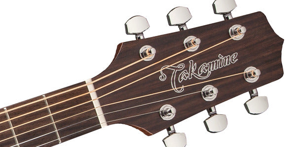 Takamine G20 AC/EL Guitar