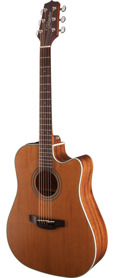 Takamine G20 AC/EL Guitar