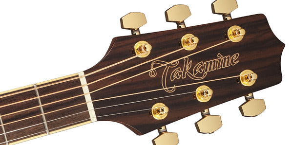 Takamine AC/EL Dread Brown S/B