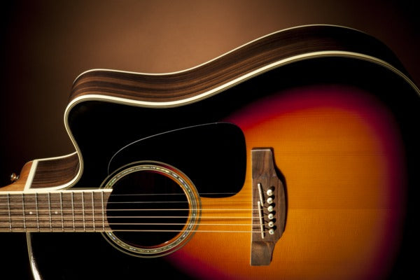 Takamine AC/EL Dread Brown S/B