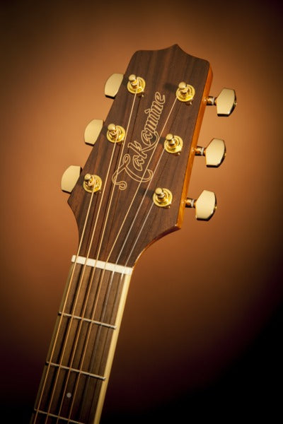 Takamine AC/EL NEX Brown S/B