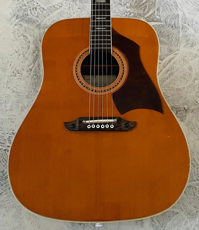 EKO Vintage Acoustic - Made in Italy