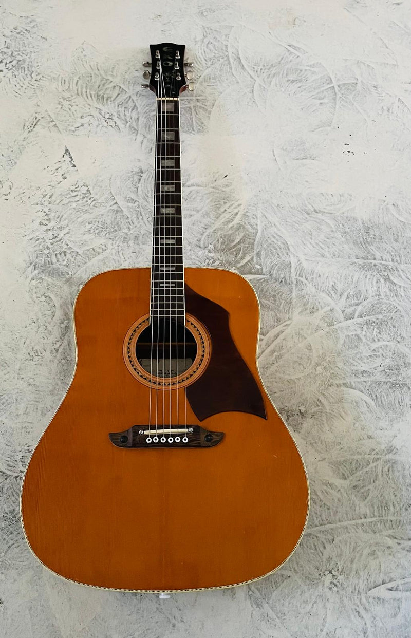 EKO Vintage Acoustic - Made in Italy