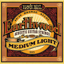 Ernie Ball Earthwood 12-54