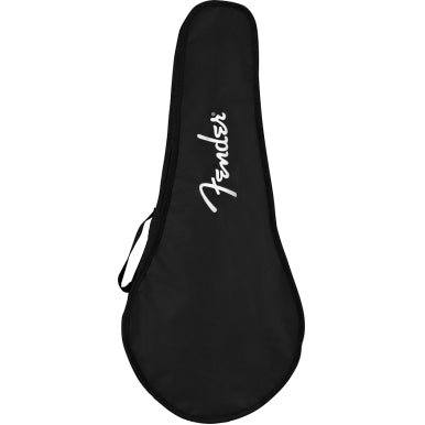 Fender Mandolin PM180-E ACB