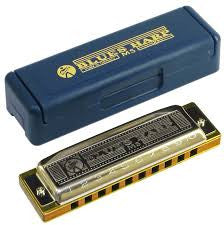 Hohner Blues D Harmonica