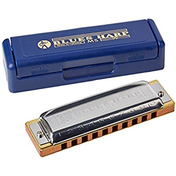 Hohner Blues G Harmonica