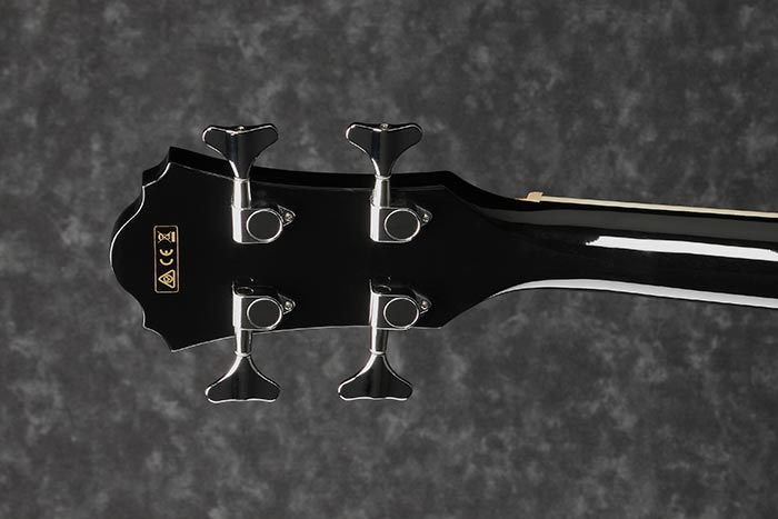 Ibanez AEB8E BK Aco Bass