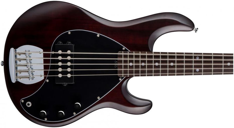 Music Man RAY5 Walnut
