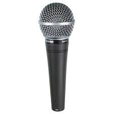 Shure SM48 Mic